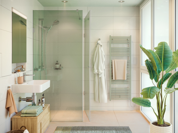 bathroom with zehnder zeno